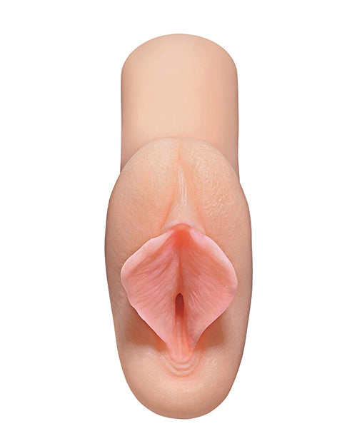 27232511.jpg