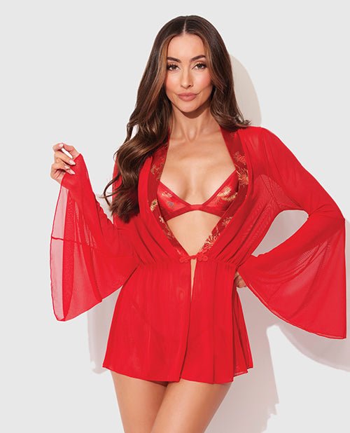 Dragon Sheer Mesh Robe w/Satin Triangle Top & G - String 3 pc Set - Red LG | Shop Lowest Prices at fonlove.shop