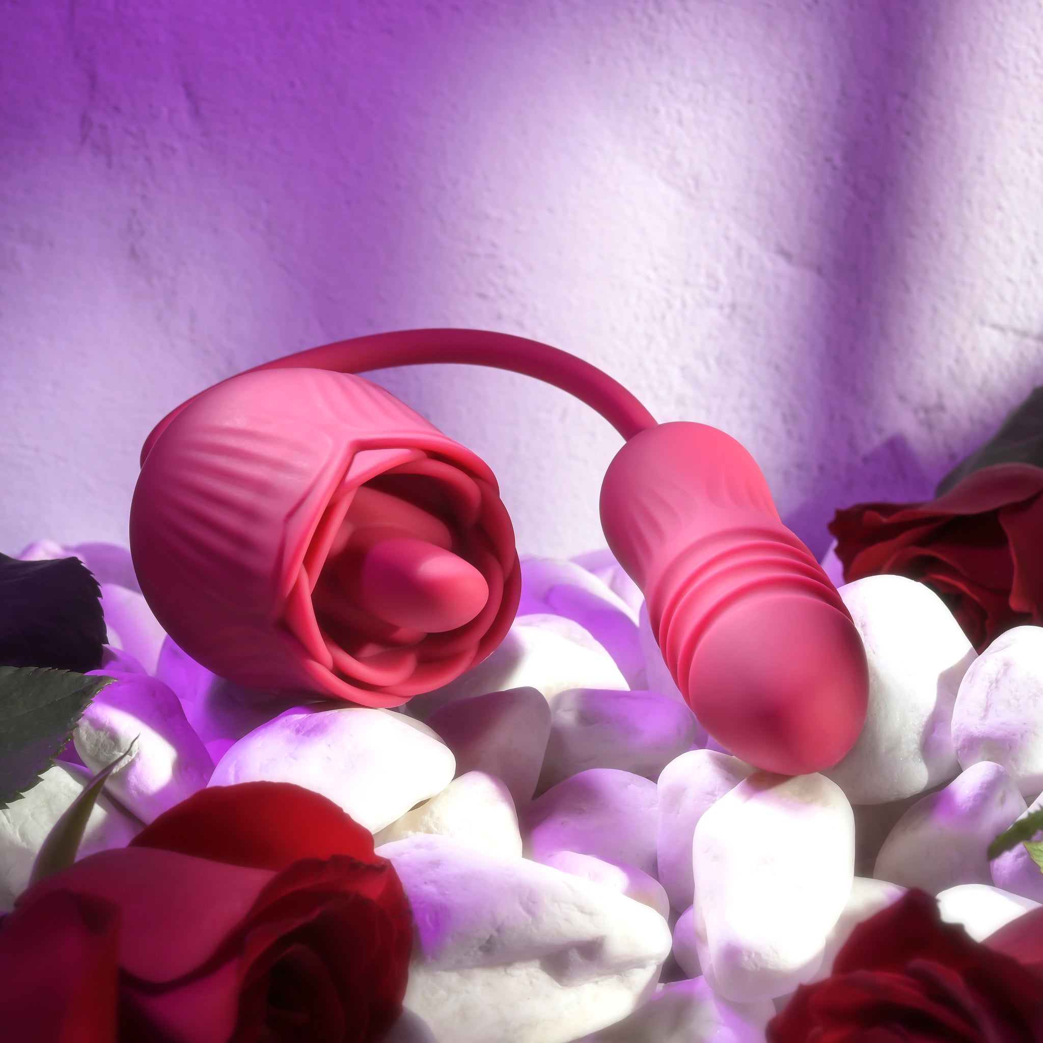 Evolved Wild Rose | Shop Lowest Prices at fonlove.shop
