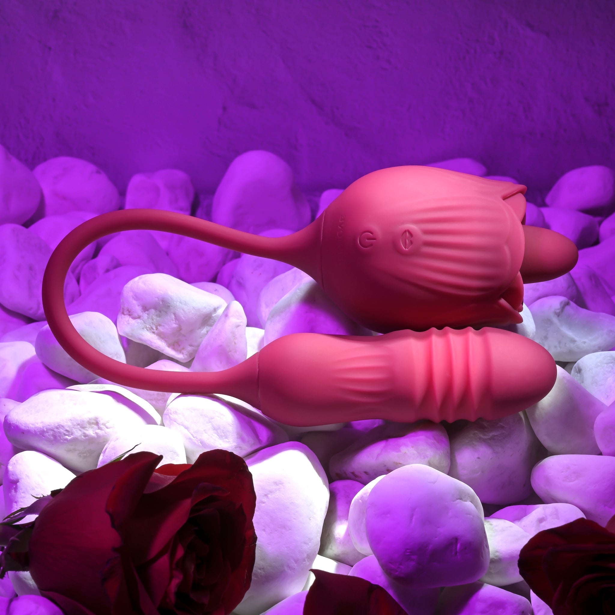 Evolved Wild Rose | Shop Lowest Prices at fonlove.shop