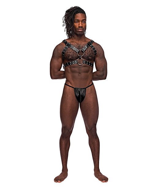 Leather Gemini Double Ring Harness Black O/s | Shop Lowest Prices at fonlove.shop