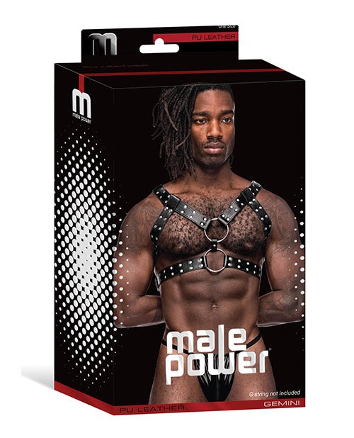 Leather Gemini Double Ring Harness Black O/s | Shop Lowest Prices at fonlove.shop