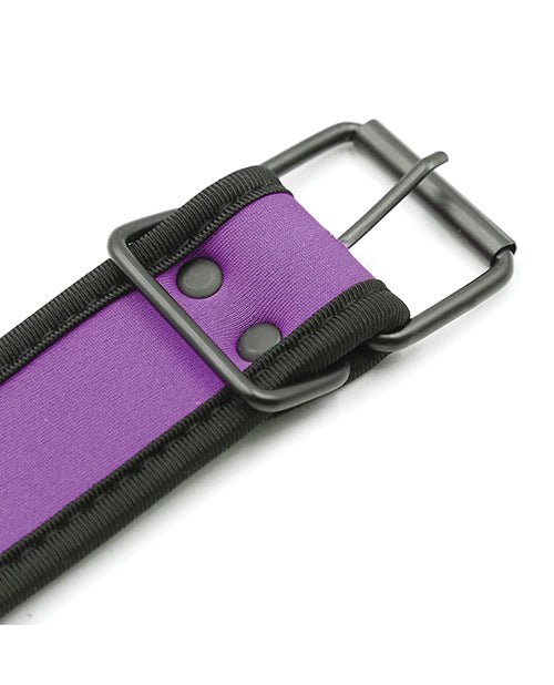 Plesur Neoprene Puppy Collar - | Shop Lowest Prices at fonlove.shop