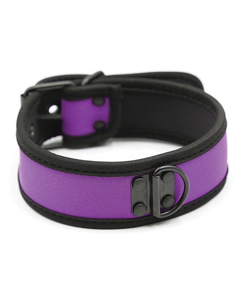 Plesur Neoprene Puppy Collar - | Shop Lowest Prices at fonlove.shop