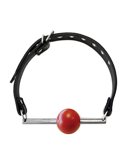 Rouge Leather Ball Gag with Stainless Steel Rod and Removable Ball - Black with Red | Shop Lowest Prices at fonlove.shop