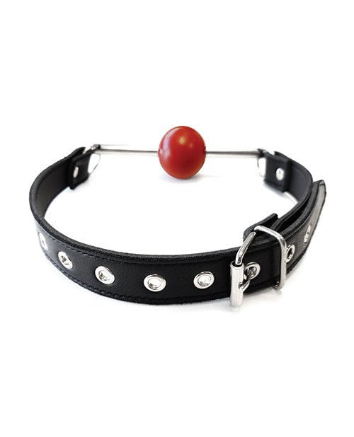 Rouge Leather Ball Gag with Stainless Steel Rod and Removable Ball - Black with Red | Shop Lowest Prices at fonlove.shop