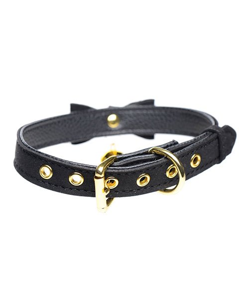 Master Series Golden Kitty Cat Bell Collar | Shop Lowest Prices at fonlove.shop