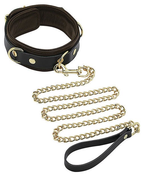 Spartacus Collar & Leash - Brown Leather W/gold Accent Hardware | Shop Lowest Prices at fonlove.shop
