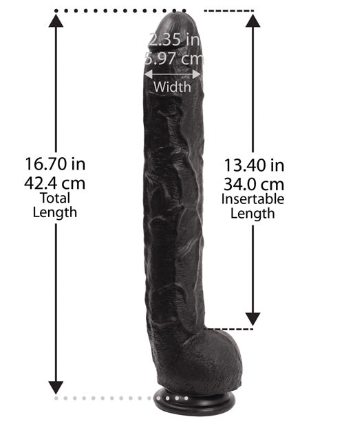 12219531.jpg
