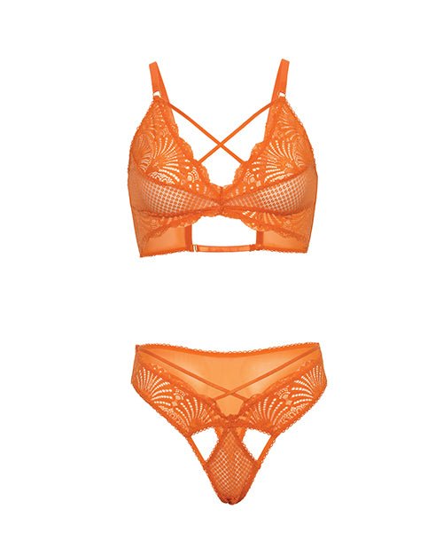 Amina Scallop Lace & Mesh Bralette w/Panty 2 pc Set - Dragon Fire Orange L/XL | Shop Lowest Prices at fonlove.shop