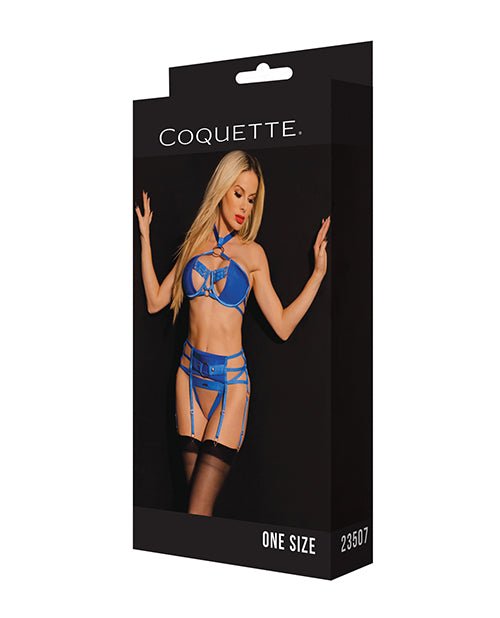 Black Label Underwire Bra w/Choker, Garterbelt & G - String Blue O/S | Shop Lowest Prices at fonlove.shop