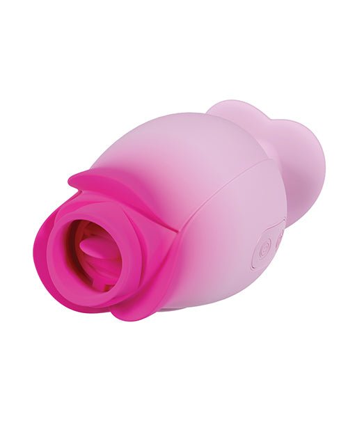 Blush Aria - Tulip Trance - Pink | Shop Lowest Prices at fonlove.shop