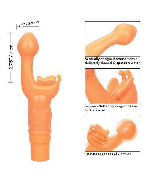 Butterfly Kiss - Orange | Shop Lowest Prices at fonlove.shop