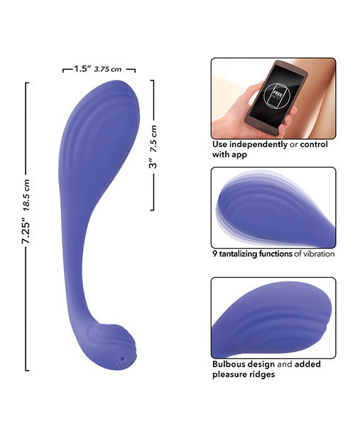Connect App Based Kegel Exerciser | Shop Lowest Prices at fonlove.shop