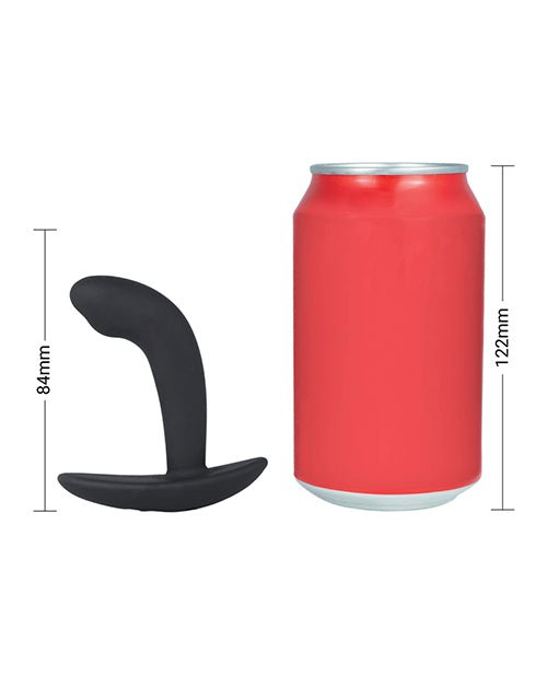 ElectraStim Electro Booty Buddy Prostate Massager - Black | Shop Lowest Prices at fonlove.shop