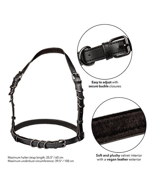 Euphoria Collection Halter Buckle Harness | Shop Lowest Prices at fonlove.shop