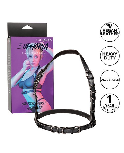 Euphoria Collection Halter Buckle Harness | Shop Lowest Prices at fonlove.shop