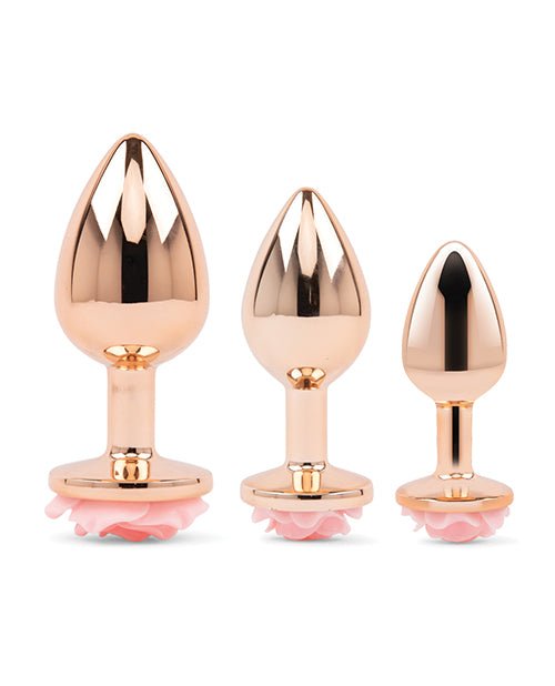 Gemsations 3 pc 2.75" & 3.15" & 3.7" Rose Metal Butt Plug Training Set - Rose Gold | Shop Lowest Prices at fonlove.shop