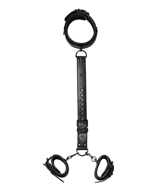 Kinky Play Box Locking Harness Collar to Wrist Restraints - Black | Shop Lowest Prices at fonlove.shop