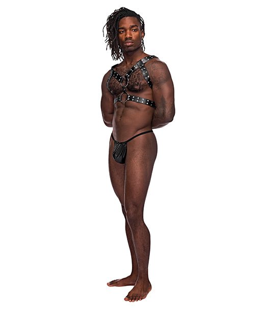 Leather Gemini Double Ring Harness Black O/s | Shop Lowest Prices at fonlove.shop
