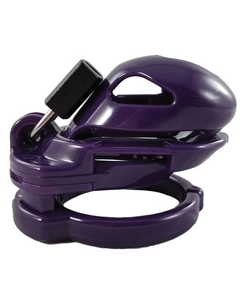 Locked In Lust The Vice Mini V2 - Purple | Shop Lowest Prices at fonlove.shop
