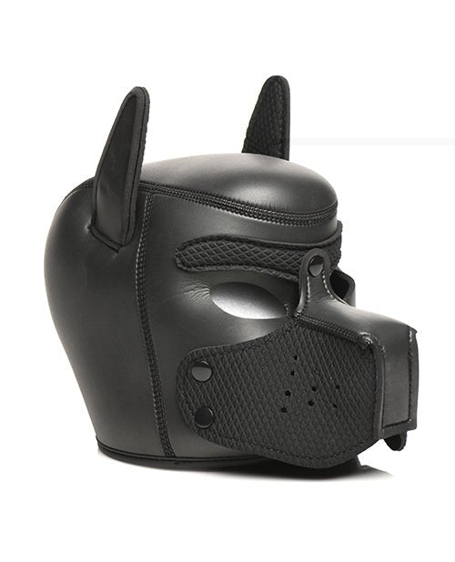 Master Series Pup Arsenal Set | Shop Lowest Prices at fonlove.shop