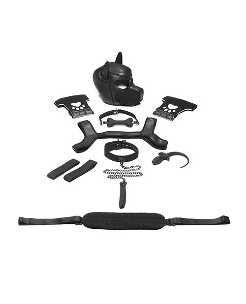 Master Series Pup Arsenal Set | Shop Lowest Prices at fonlove.shop