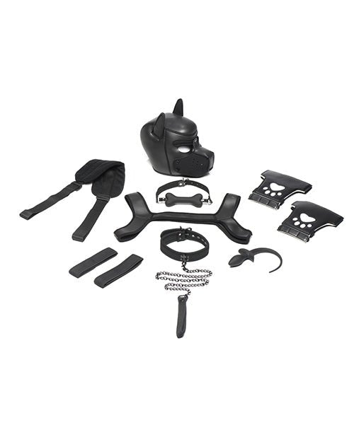 Master Series Pup Arsenal Set | Shop Lowest Prices at fonlove.shop
