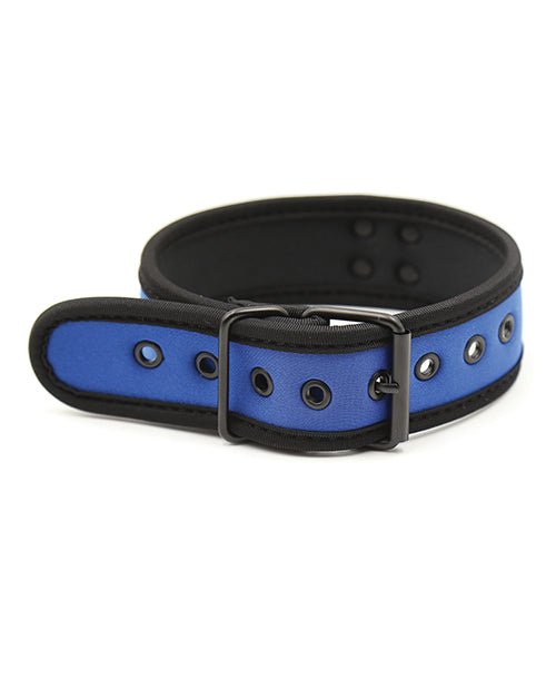Plesur Neoprene Puppy Collar - | Shop Lowest Prices at fonlove.shop