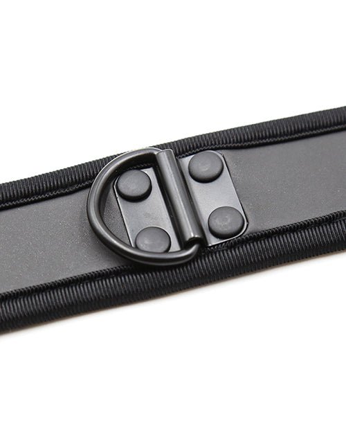 Plesur Neoprene Puppy Collar - | Shop Lowest Prices at fonlove.shop