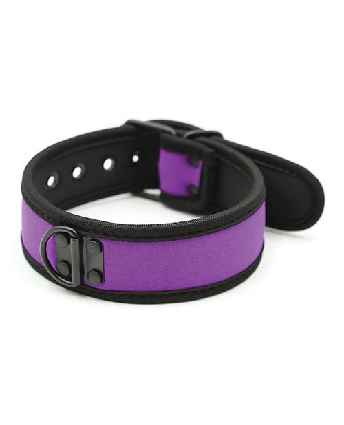 Plesur Neoprene Puppy Collar - | Shop Lowest Prices at fonlove.shop
