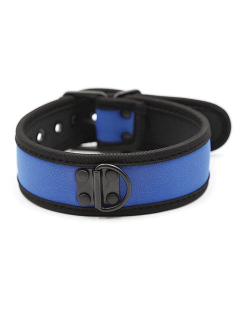 Plesur Neoprene Puppy Collar - | Shop Lowest Prices at fonlove.shop