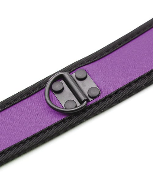Plesur Neoprene Puppy Collar - | Shop Lowest Prices at fonlove.shop
