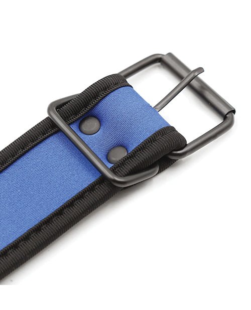Plesur Neoprene Puppy Collar - | Shop Lowest Prices at fonlove.shop