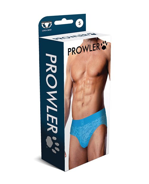Prowler Lace Open Back Brief - Blue SM | Shop Lowest Prices at fonlove.shop