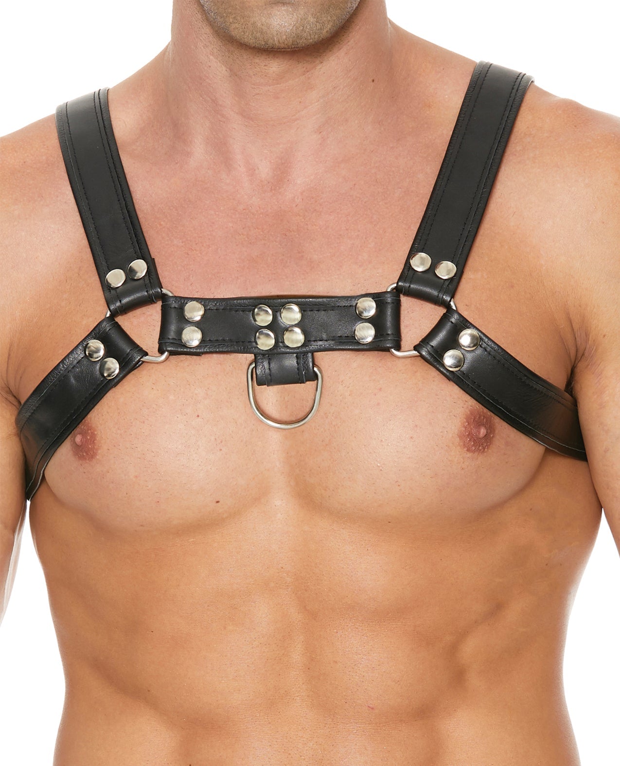 Shots Uomo Chest Bulldog Harness Large/XLarge - Black | Shop Lowest Prices at fonlove.shop