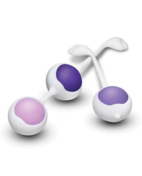 Blush Wellness Kegel Training Kit - Purple | Shop Lowest Prices at fonlove.shop