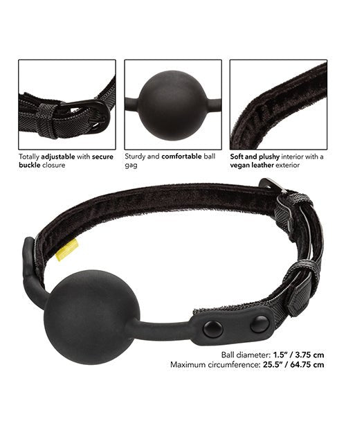 Boundless Ball Gag | Shop Lowest Prices at fonlove.shop