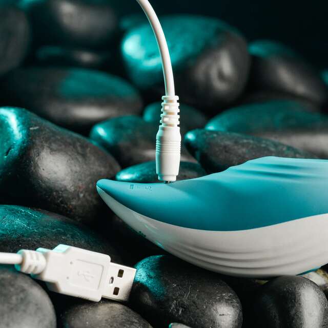 Evolved Palm Pleasure | Shop Lowest Prices at fonlove.shop