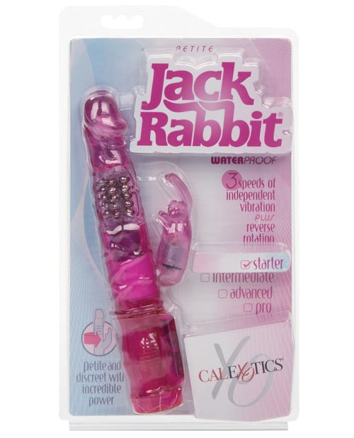 Jack Rabbits Petite | Shop Lowest Prices at fonlove.shop