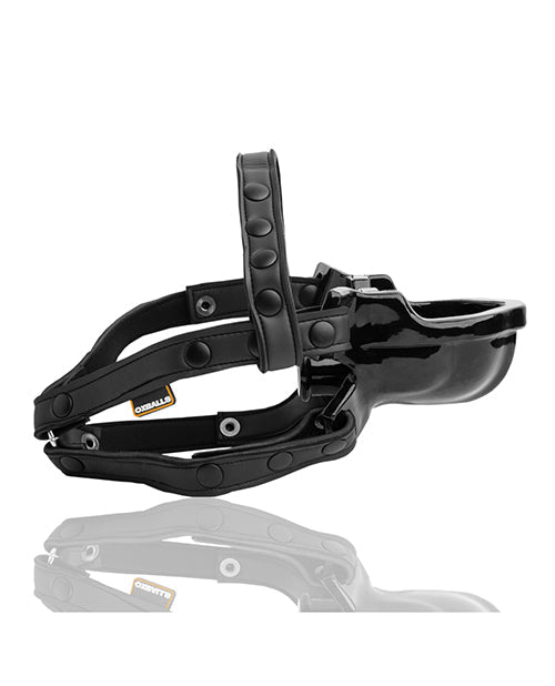 Oxballs Watersport Strap On Gag | Shop Lowest Prices at fonlove.shop