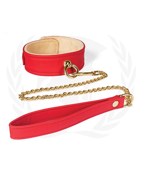 Spartacus Plush Lined Pu Collar & Chained Leash | Shop Lowest Prices at fonlove.shop
